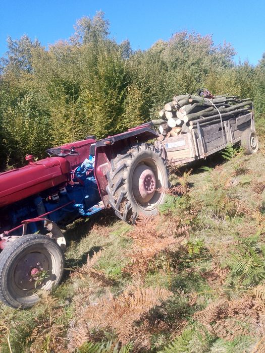 De vânzare Tractor Massey Ferguson