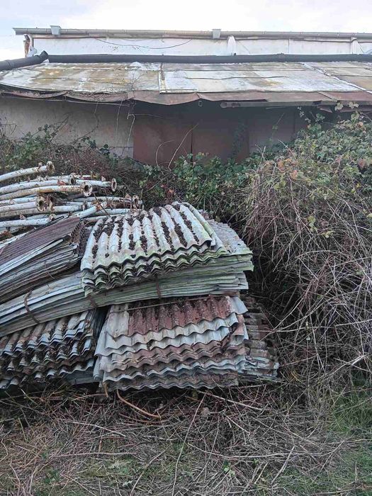 Хале тип Холандско