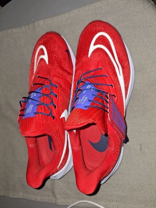 Model Nike  zoom pegasus flyease shoes