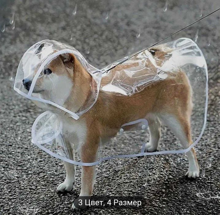 дождевик для средних собак