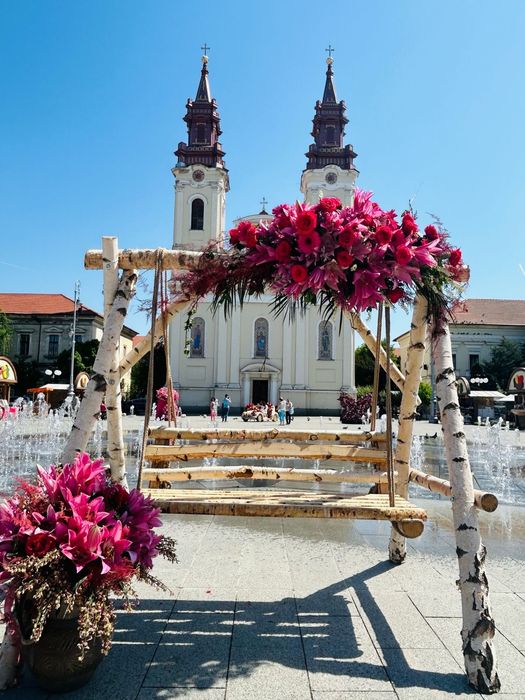 Lemn de mesteacan mesteacan decorativ trunchi mesteacan crengi rondele