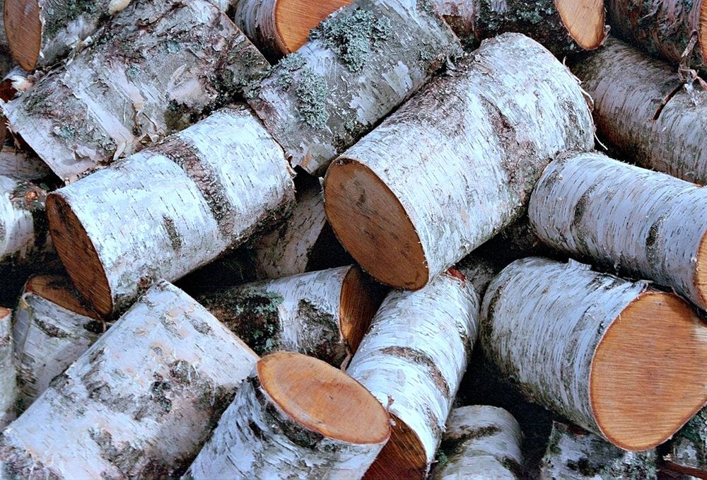 Берёзовые дрова чурками с доставкой в Кокшетау — 400 000 ₸ за КамАЗ с