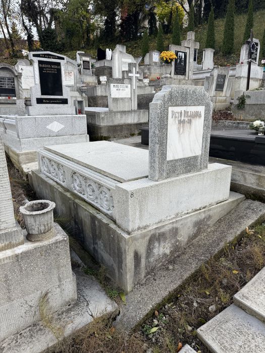 Loc de veci cimitir municipal/livada postei