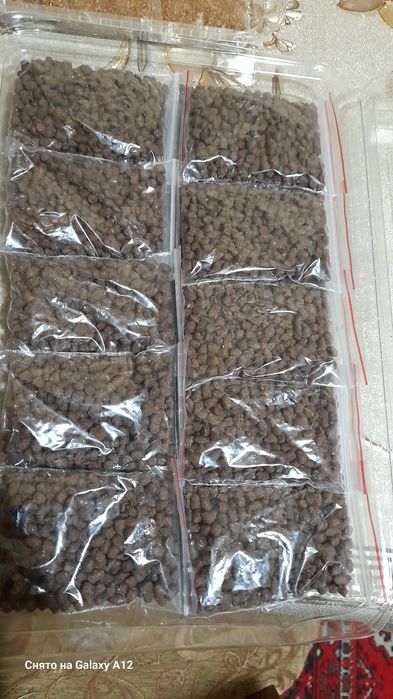 Аквариум боликлани кормаси.