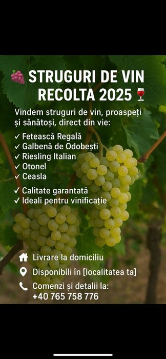 Producător vănd struguri de vin alb și negru