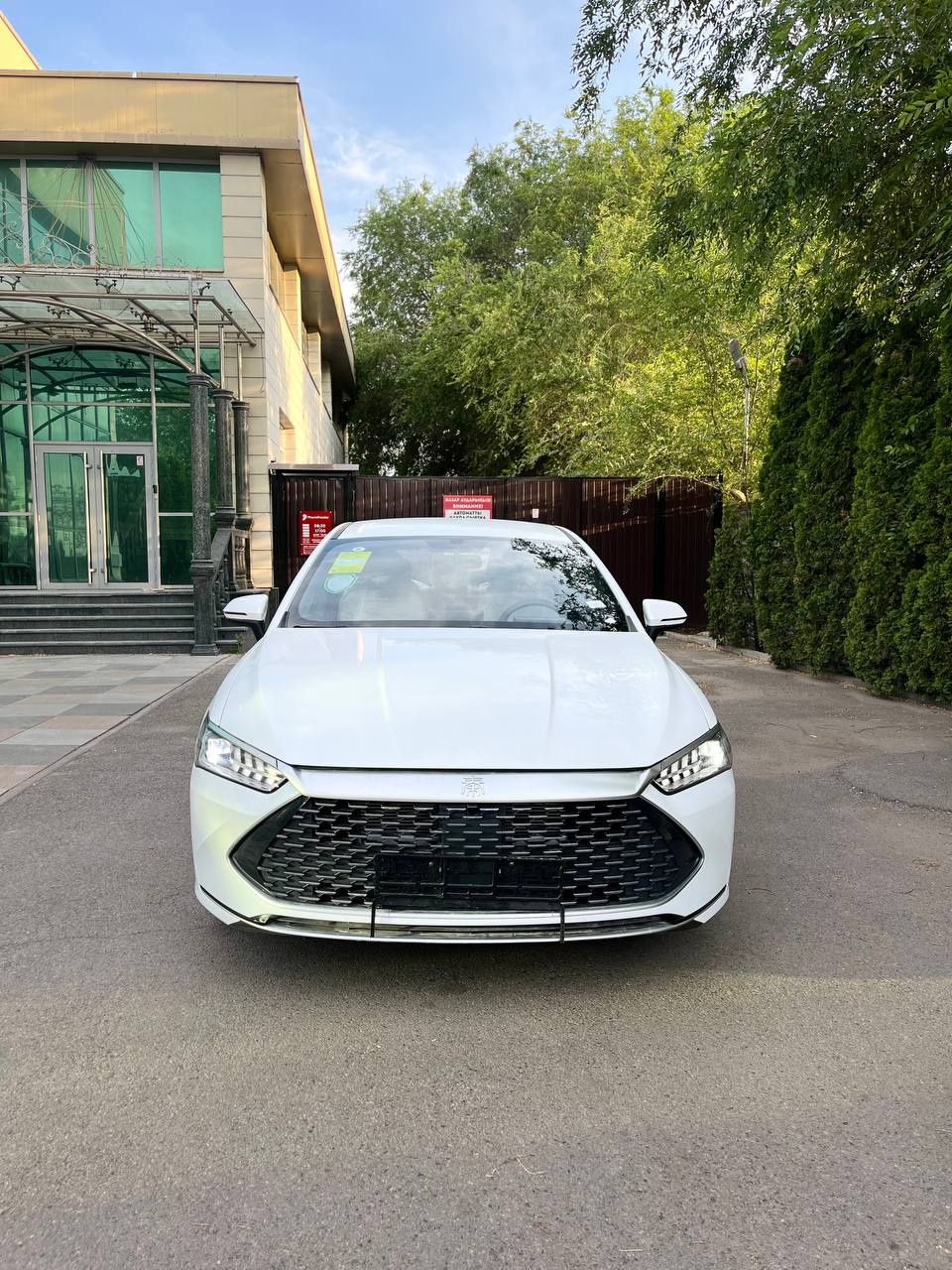 Byd qin plus (без пв)