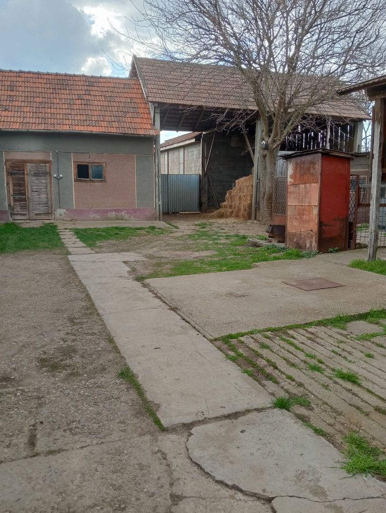 Vând casă familială în Biharia
