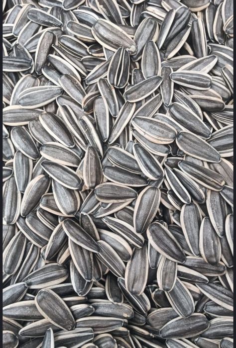 Продам семечки полосатые , отборные . Оптом !