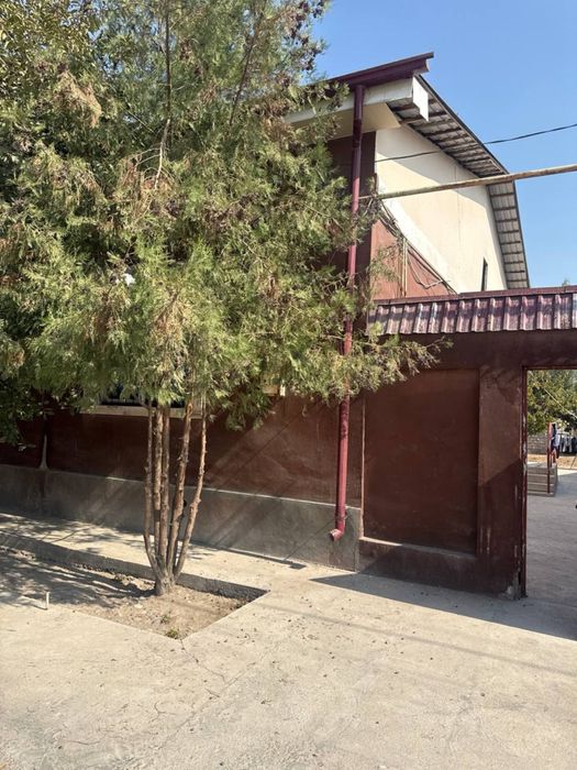 Buka tumanida srochna sotiladi 6 sotix