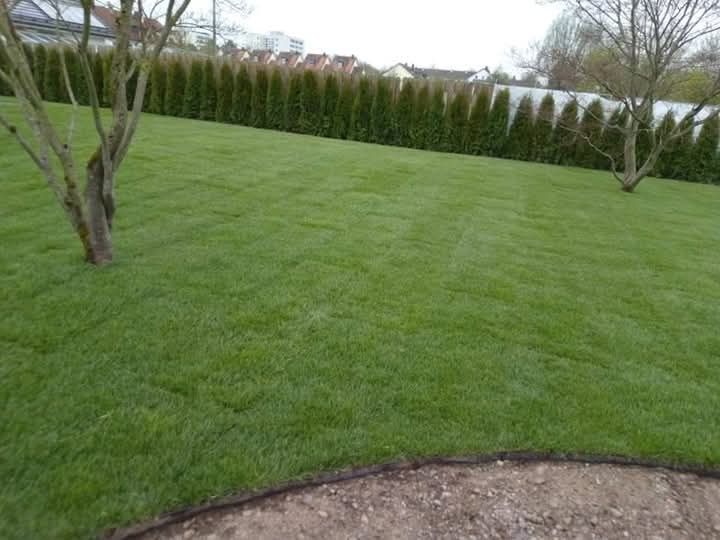 Amenajări Complete – Interior | Exterior | Termopane