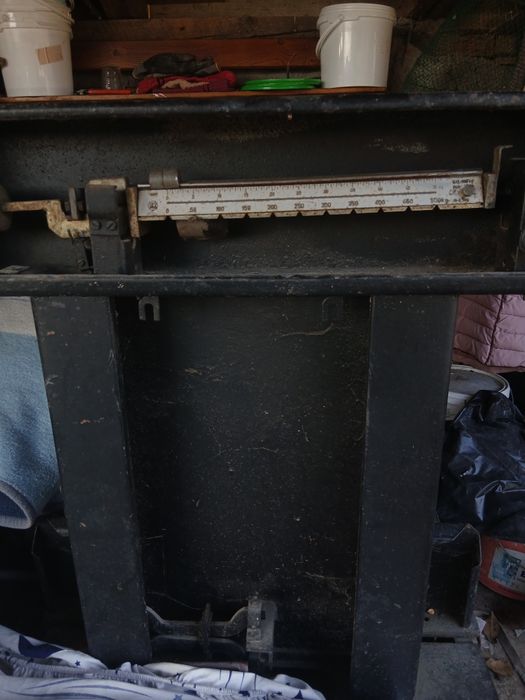 Vând cântar de porci