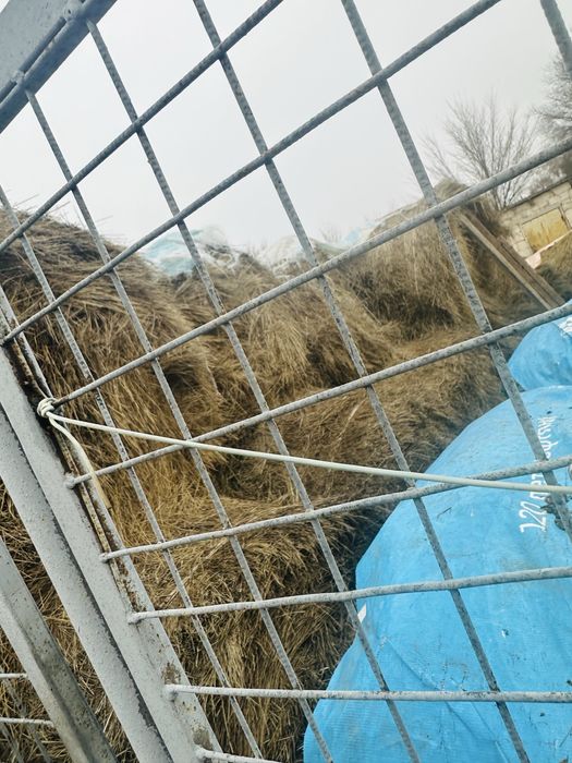 Продам сено 10000