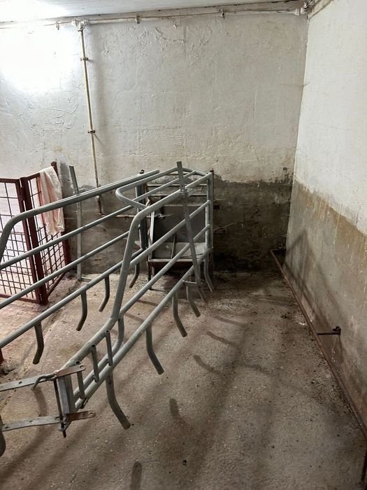 Vand maternitate pentru porci