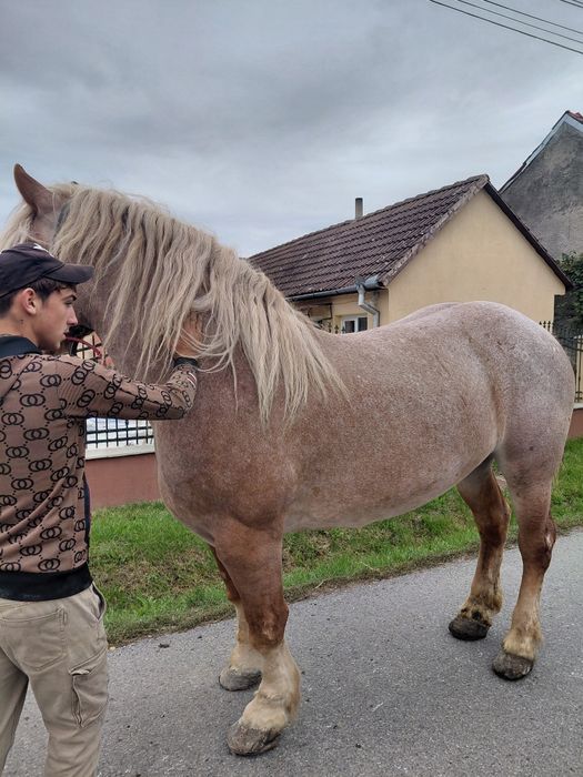 Vând de 5 ani bună la toate muncile agricole și la pădure