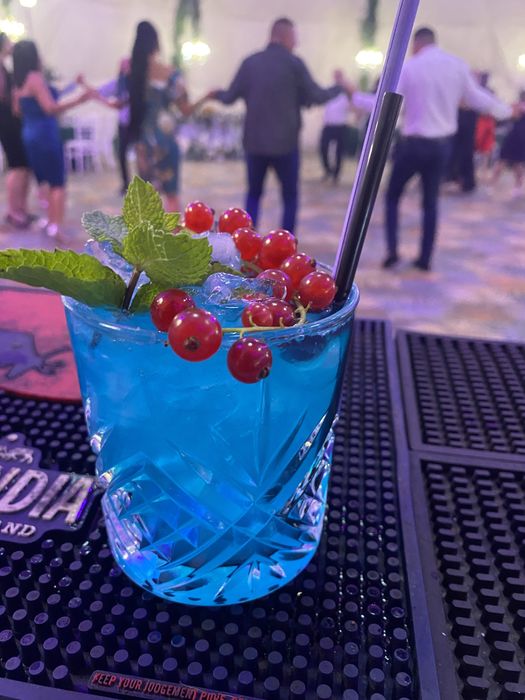 Open Bar/Tort shooturi / Barman