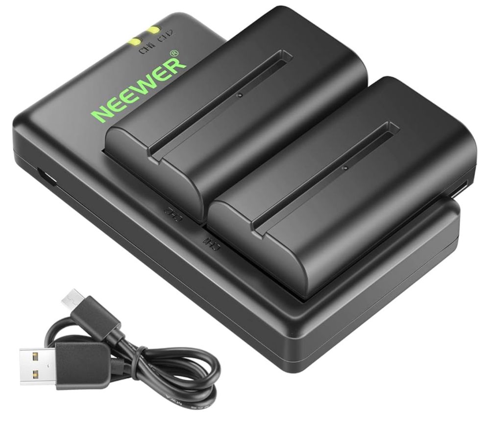 Set incarcator Sony NP550