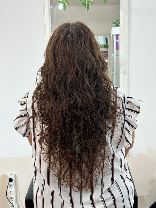 Tuns, vopsit, coafuri ocazie produse profesionale –Timișoara / Chişoda