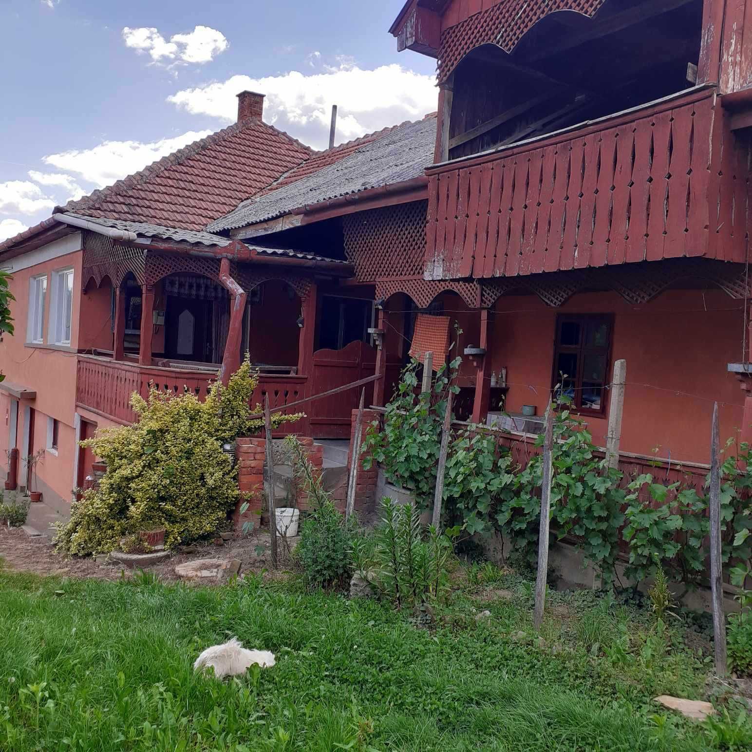 Casa de vanzare Viile Satu Mare