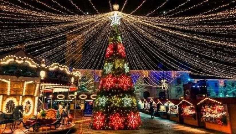 Brazi luminosi de exterior, iluminat festiv Craciun