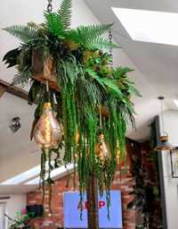 Lustra,pendul decorativ plante criogenate, obiecte decorative