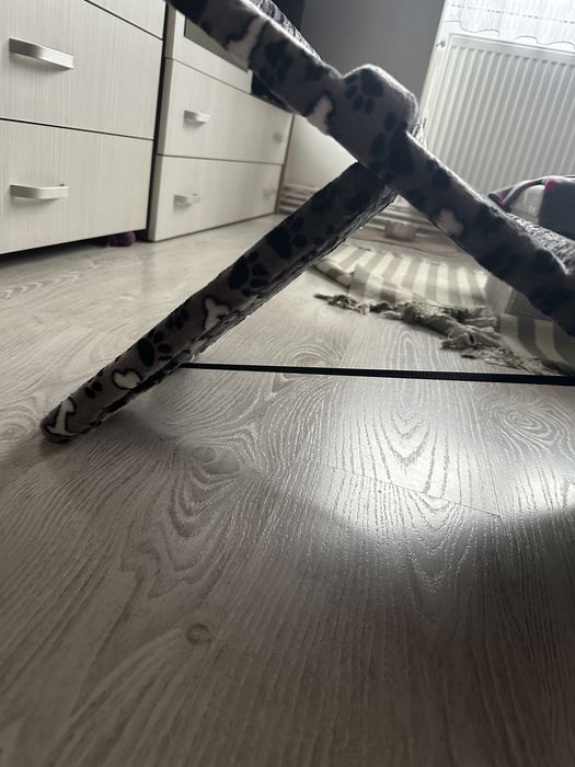 Rampa animale de companie