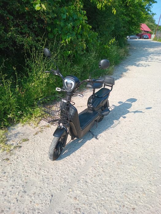 Scuter electric schimb cu porc