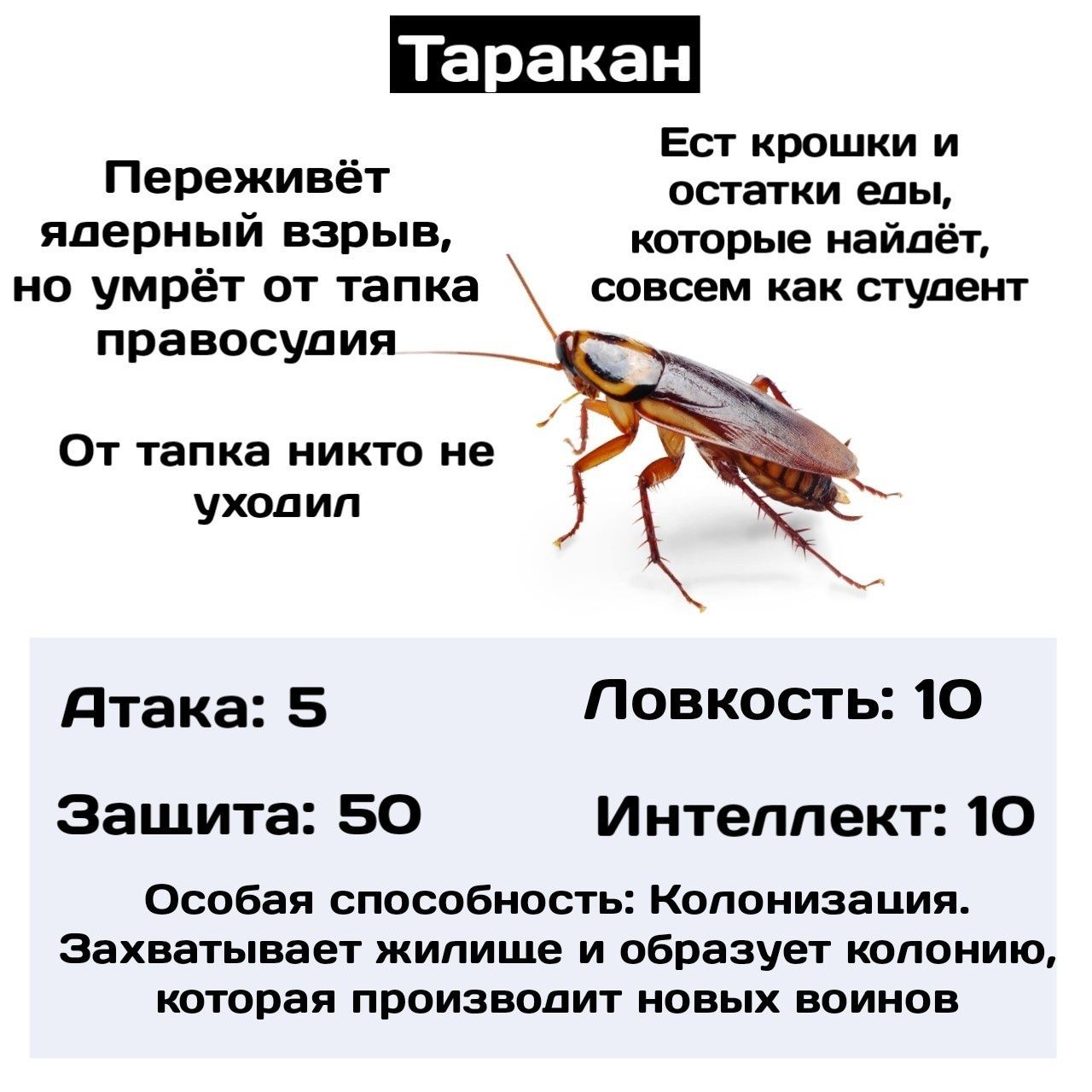 Дизенфекция тараканов договоримся