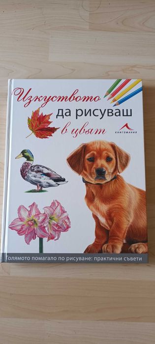 Книги за изкуство и сръчковци