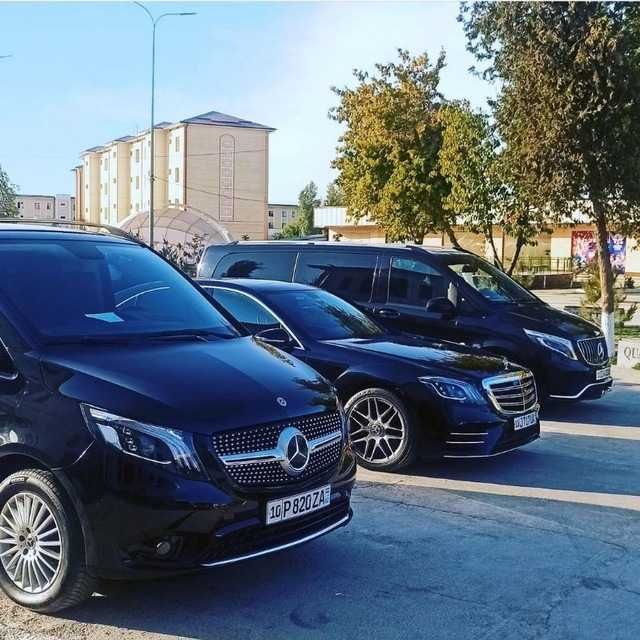 Kartej Toy Raddom vito mers