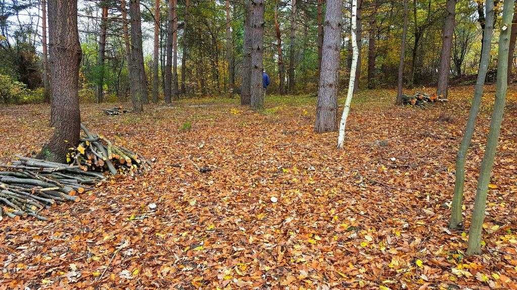 Парцел в район Панчарево, м-т яз.Искър