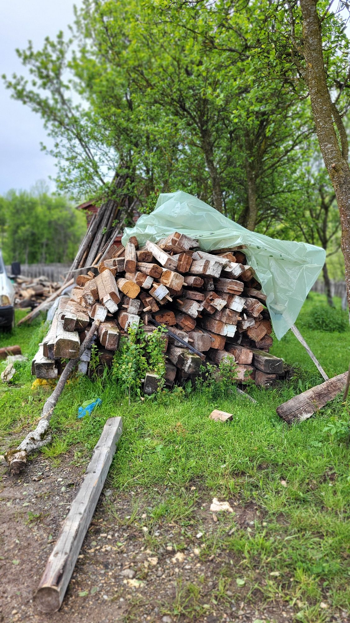 Vând  lemn  vechi