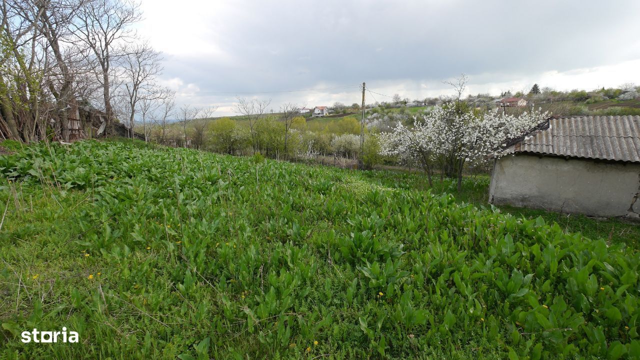 Teren intravilan, sat Plopsoru, com Daia, judetul Giurgiu