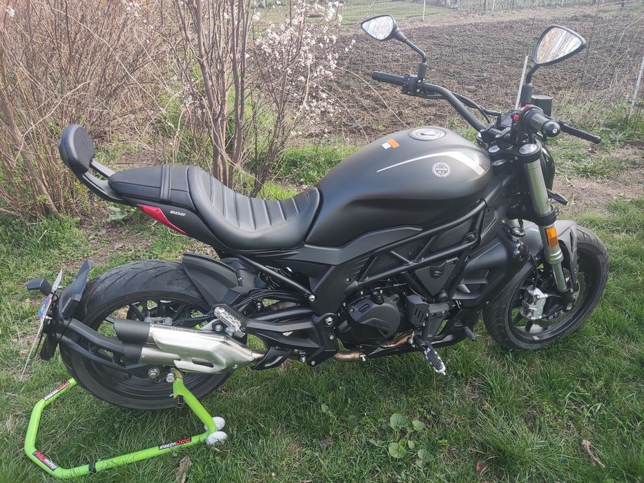 Benelli 502c Cruiser