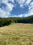 Teren Crasna Viseului, zona Paltin 38.186 mp