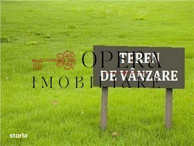 Teren intravilan 6250 m.p., de vanzare, zona Dancu