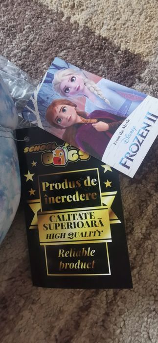 Ghiozdan Frozen 2 clasa 1..4