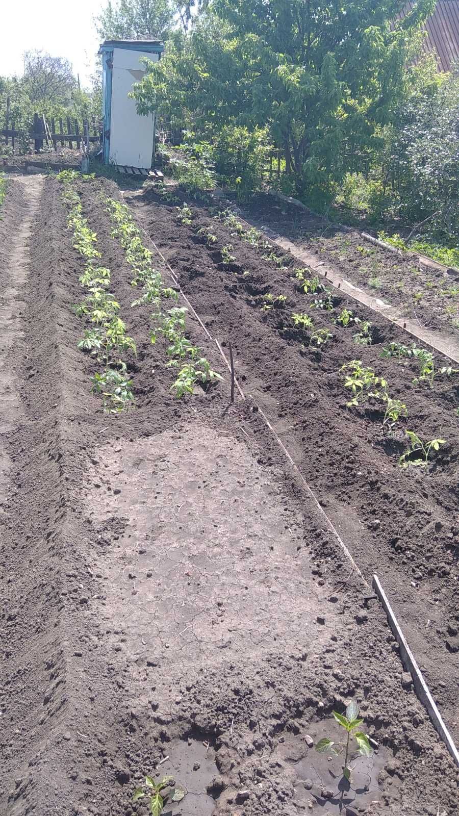 продам дачу в рабочем поселке