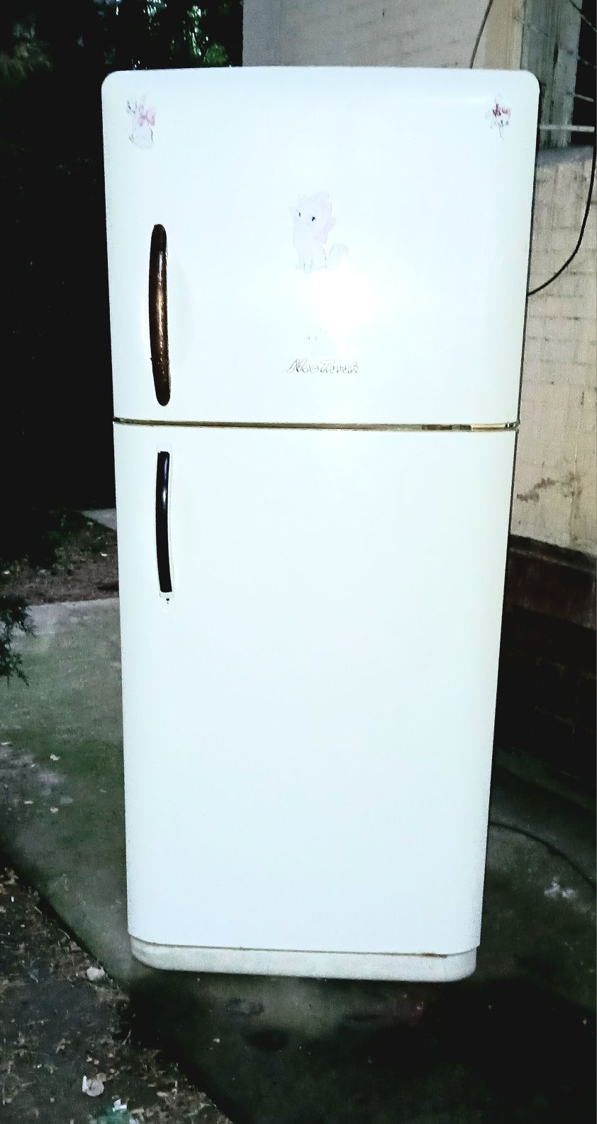 Холодильник неотанг но рост 2метр