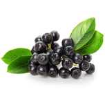 Fructe Aronia bio