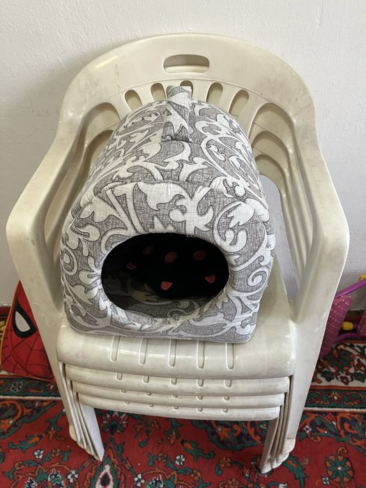 отдам даром срочно