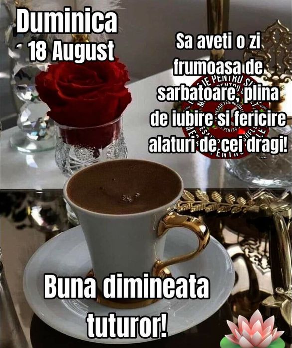 Vind vwTransporter Doka 4×4