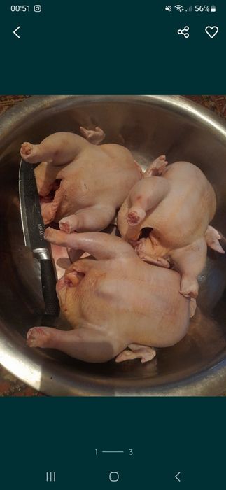 Домашние куры бройлеры бройлер мясистые свежие