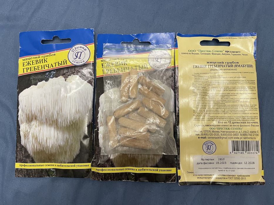 Мицелий гриб ежовик гребенчатый