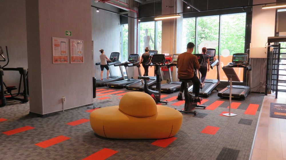 Antrenor Personal, Instructor de Fitness