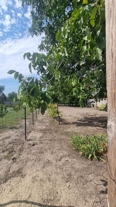 Vand casă comuna Dorobanti