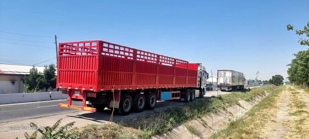 Polupresep sotiladi 2024 yili