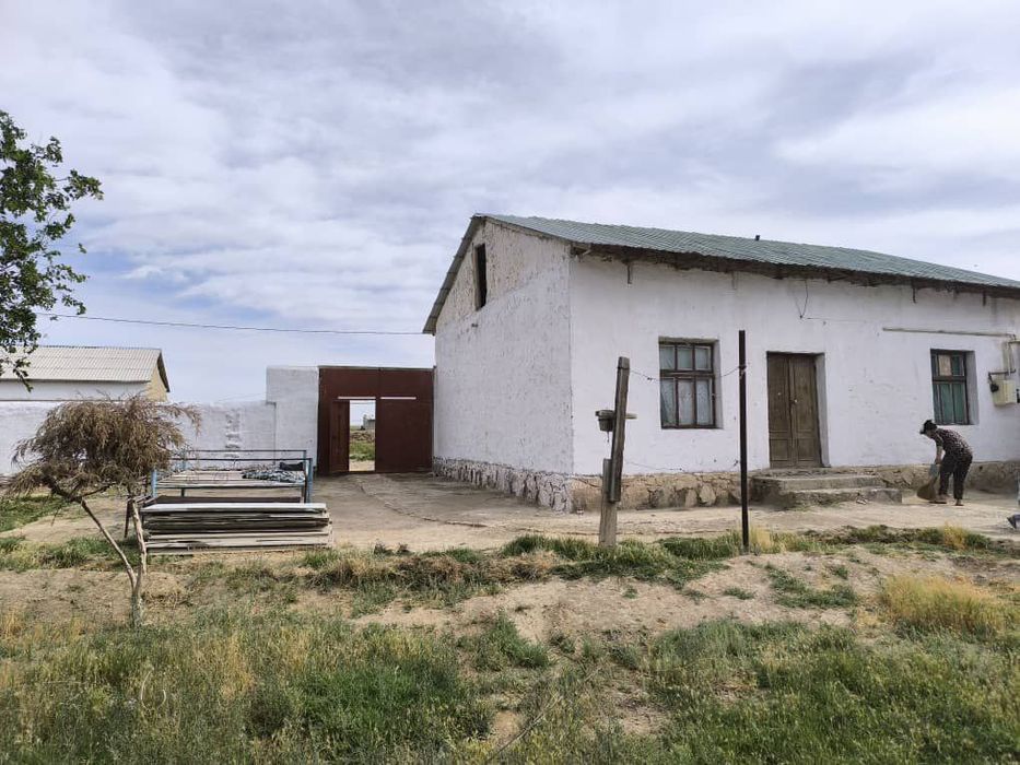 Канимех Карвон йули