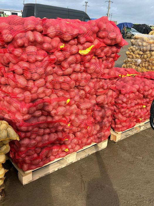 Cartofi de consum Alb si Roșu