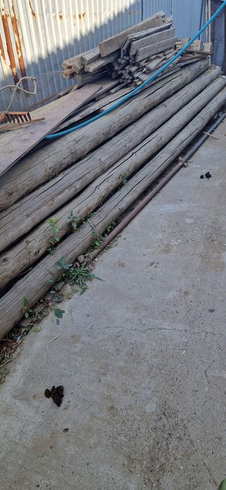 Тастама круглый.