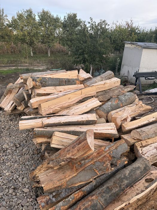 Lemne de foc Verzi/Uscate esențe tarii
